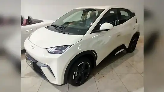 Foto de um byd dolphin mini
