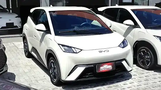 Foto de um byd dolphin mini