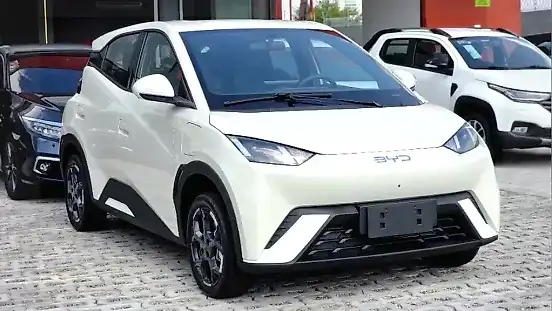 Foto de um byd dolphin mini