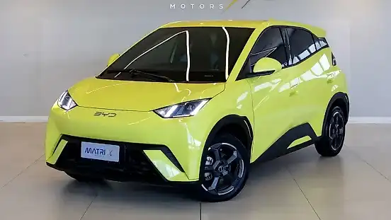 Foto de um byd dolphin mini