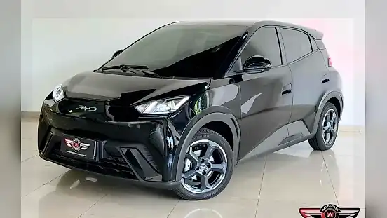 Foto de um byd dolphin mini