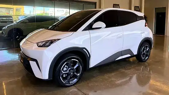 Foto de um byd dolphin mini