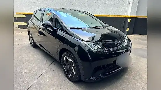 Foto de um byd dolphin