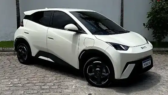 Foto de um byd dolphin mini