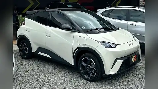 Foto de um byd dolphin mini