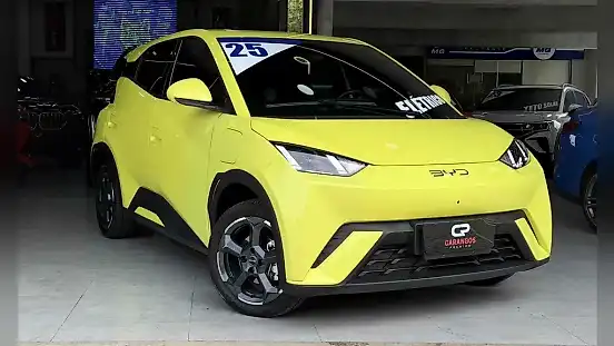 Foto de um byd dolphin