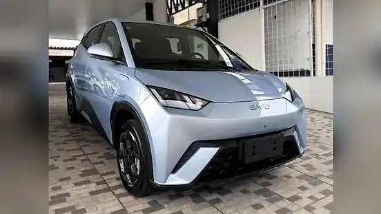 Foto de um byd dolphin mini