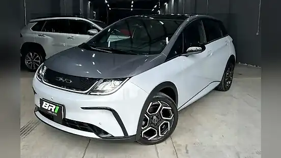 Foto de um byd dolphin plus
