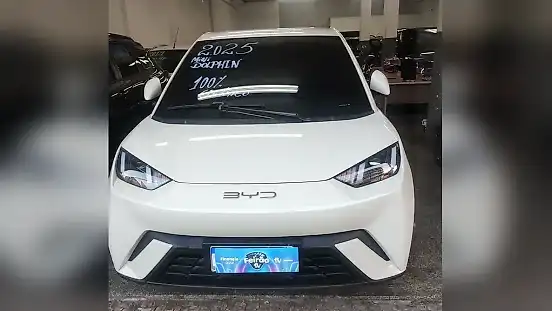 Foto de um byd dolphin mini
