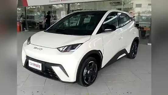 Foto de um byd dolphin mini