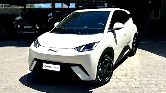 Foto de um byd dolphin mini