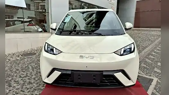 Foto de um byd dolphin mini
