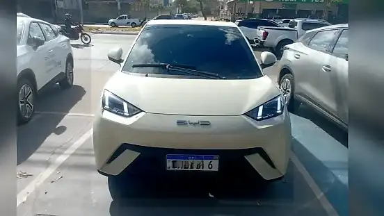 Foto de um byd dolphin mini