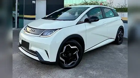 Foto de um byd dolphin