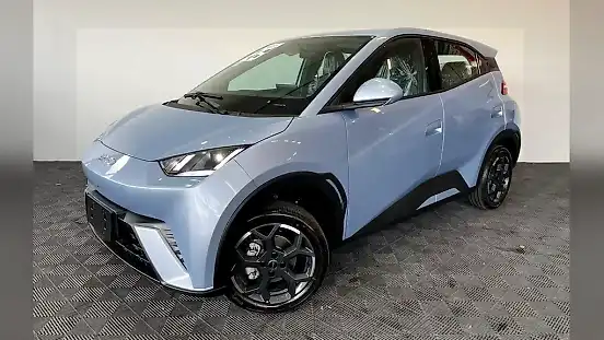Foto de um byd dolphin mini
