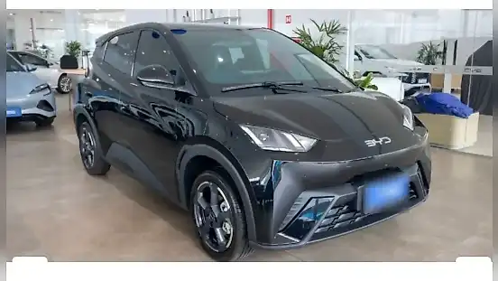 Foto de um byd dolphin