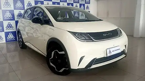Foto de um byd dolphin