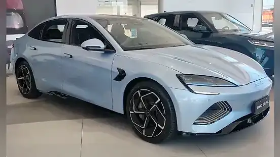 Foto de um byd seal