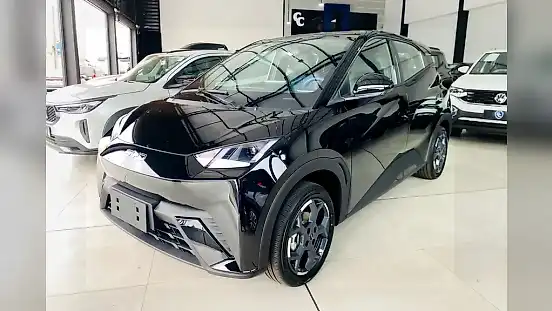 Foto de um byd dolphin mini