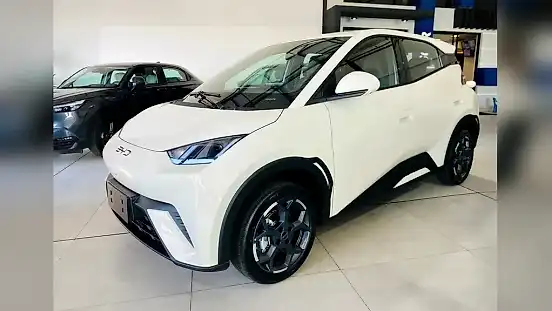 Foto de um byd dolphin mini