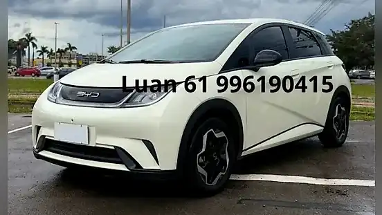 Foto de um byd dolphin