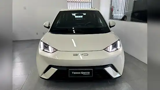 Foto de um byd dolphin mini