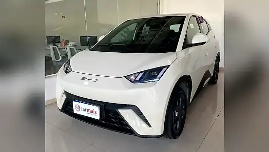 Foto de um byd dolphin mini