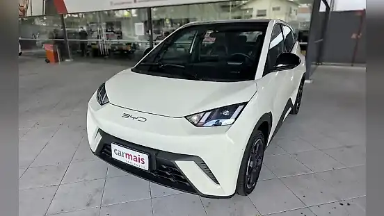 Foto de um byd dolphin mini