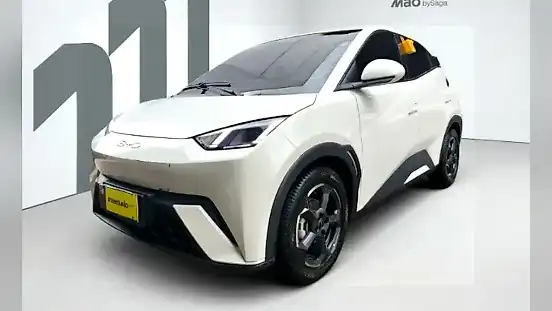 Foto de um byd dolphin mini