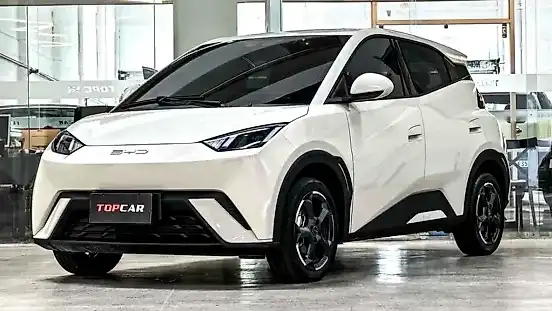 Foto de um byd dolphin plus