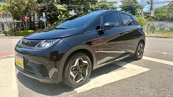 Foto de um byd dolphin