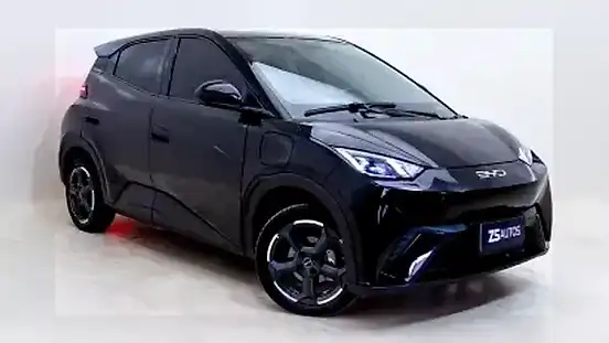 Foto de um byd dolphin mini
