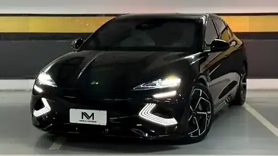 Foto de um byd seal