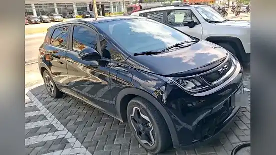 Foto de um byd dolphin