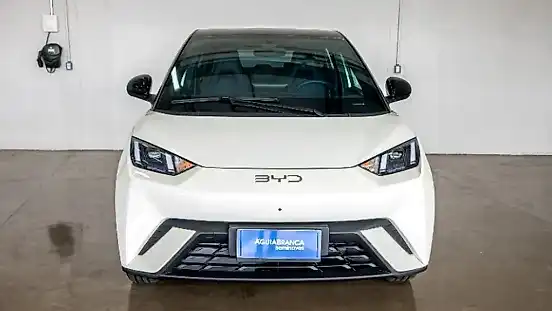 Foto de um byd dolphin mini