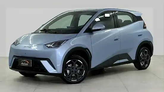 Foto de um byd dolphin