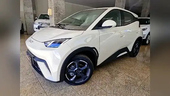 Foto de um byd dolphin mini