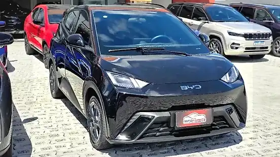 Foto de um byd dolphin mini