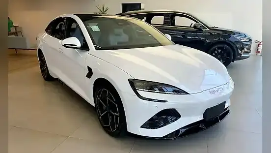 Foto de um byd seal