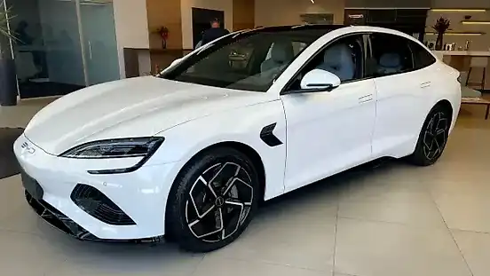Foto de um byd seal