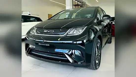 Foto de um byd dolphin