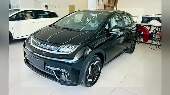 Foto de um byd dolphin