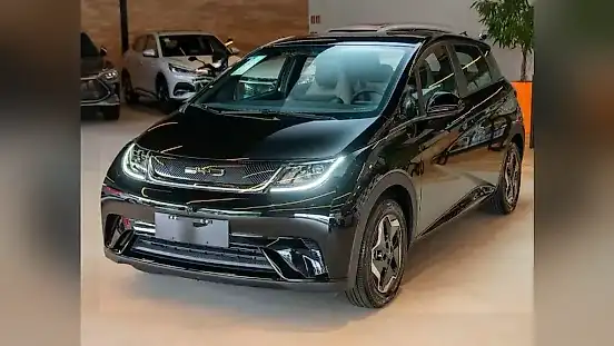 Foto de um byd dolphin