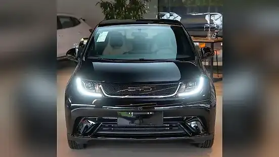 Foto de um byd dolphin