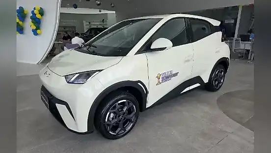 Foto de um byd dolphin mini