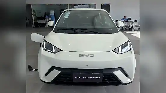 Foto de um byd dolphin mini