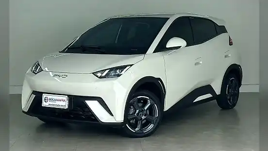 Foto de um byd dolphin mini