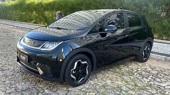 Foto de um byd dolphin