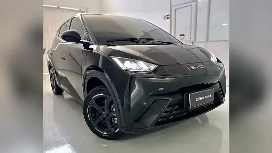 Foto de um byd dolphin mini