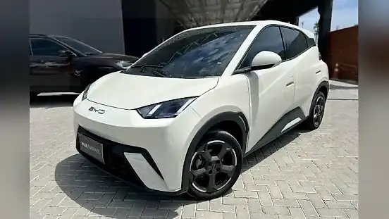 Foto de um byd dolphin mini